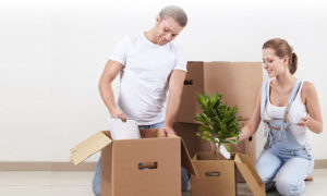 Removalists Coogee