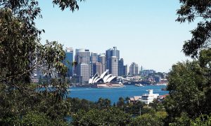 Are You Looking For A Removalists In Mosman?